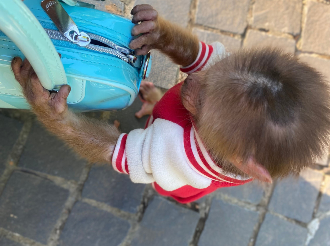 Amour Resort Bavi主图