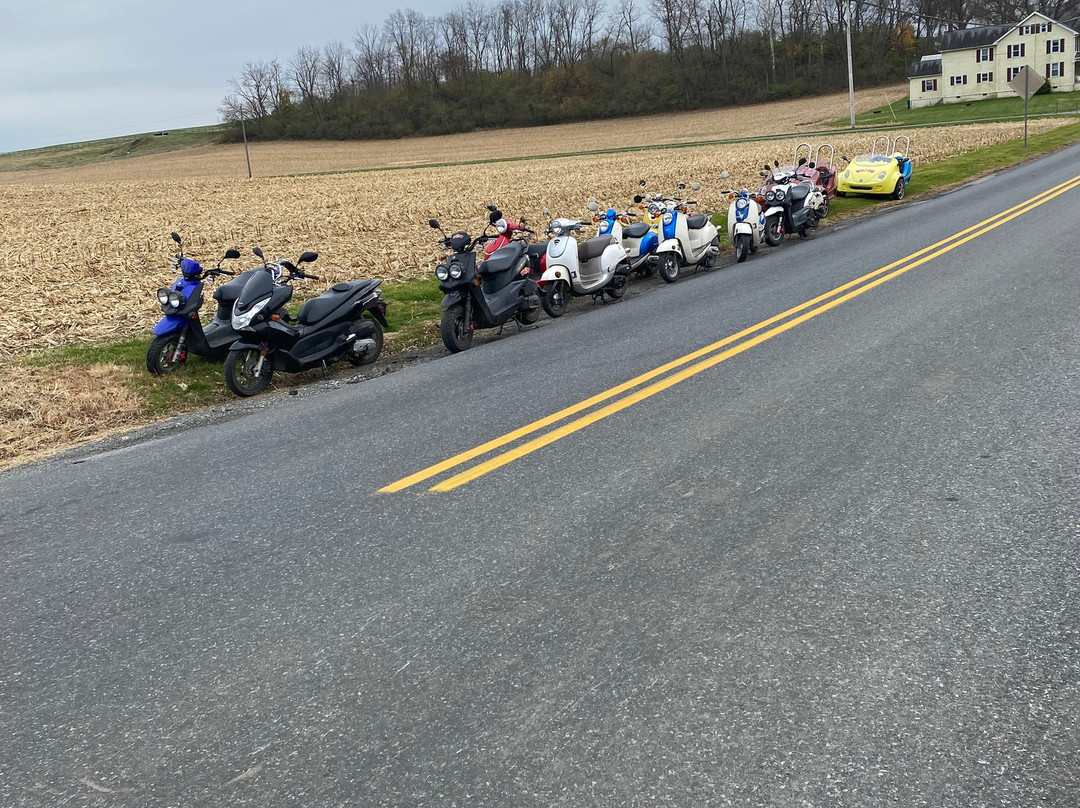 Strasburg Scooter Tours-Strasburg必去景点