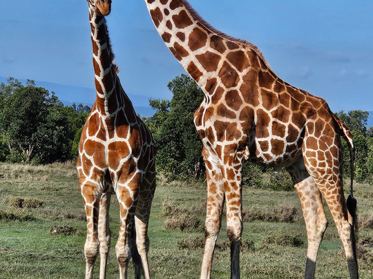 BONFIRE ADVENTURES-内罗毕必去景点