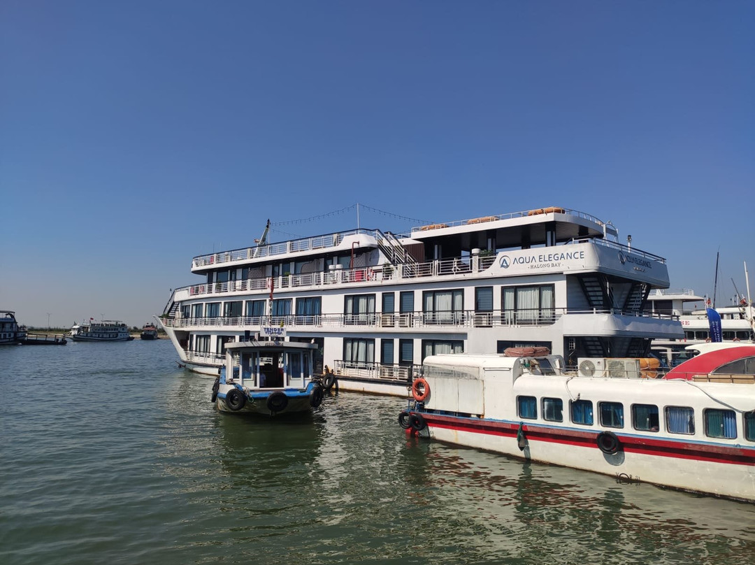 Aqua Elegance Cruise-团洲岛必去景点