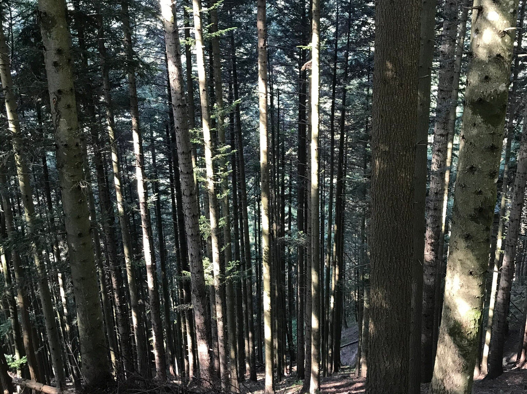 Monastero di Camaldoli-波皮必去景点