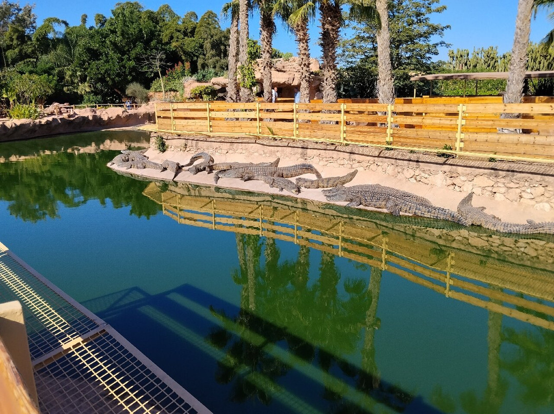 Crocoparc-阿加迪尔必去景点