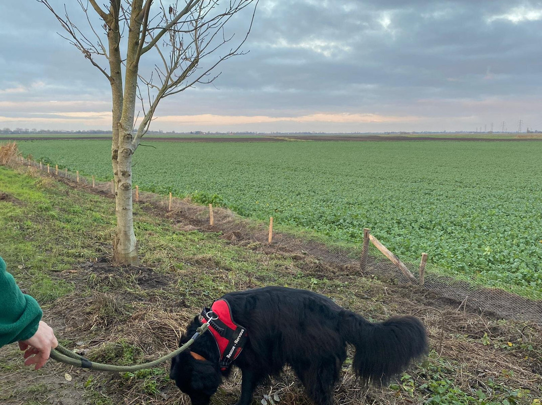 Rings End Nature Reserve