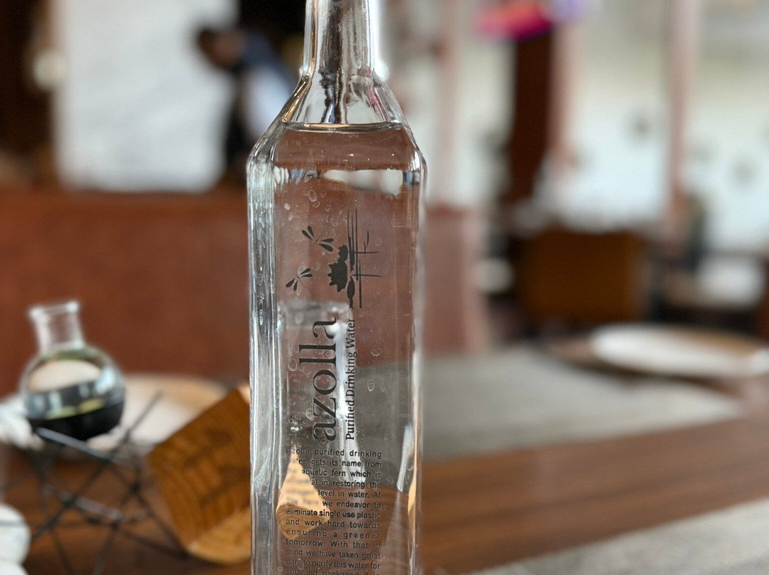 The Fern Leo Resort & Club Junagadh主图