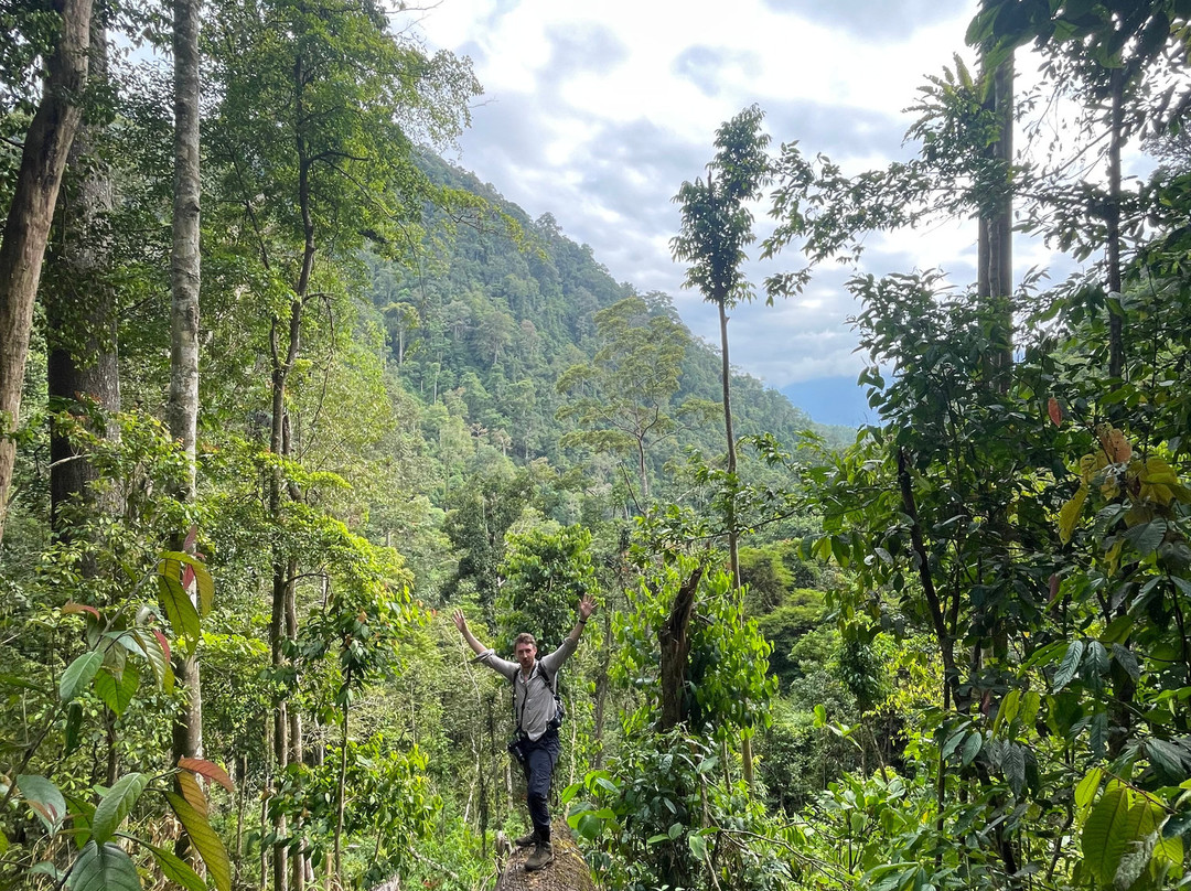 Sumatra Ketambe Jungle Tours-Ketambe必去景点
