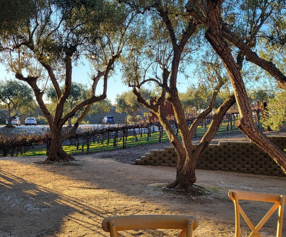 Leal Vineyards-霍利斯特必去景点