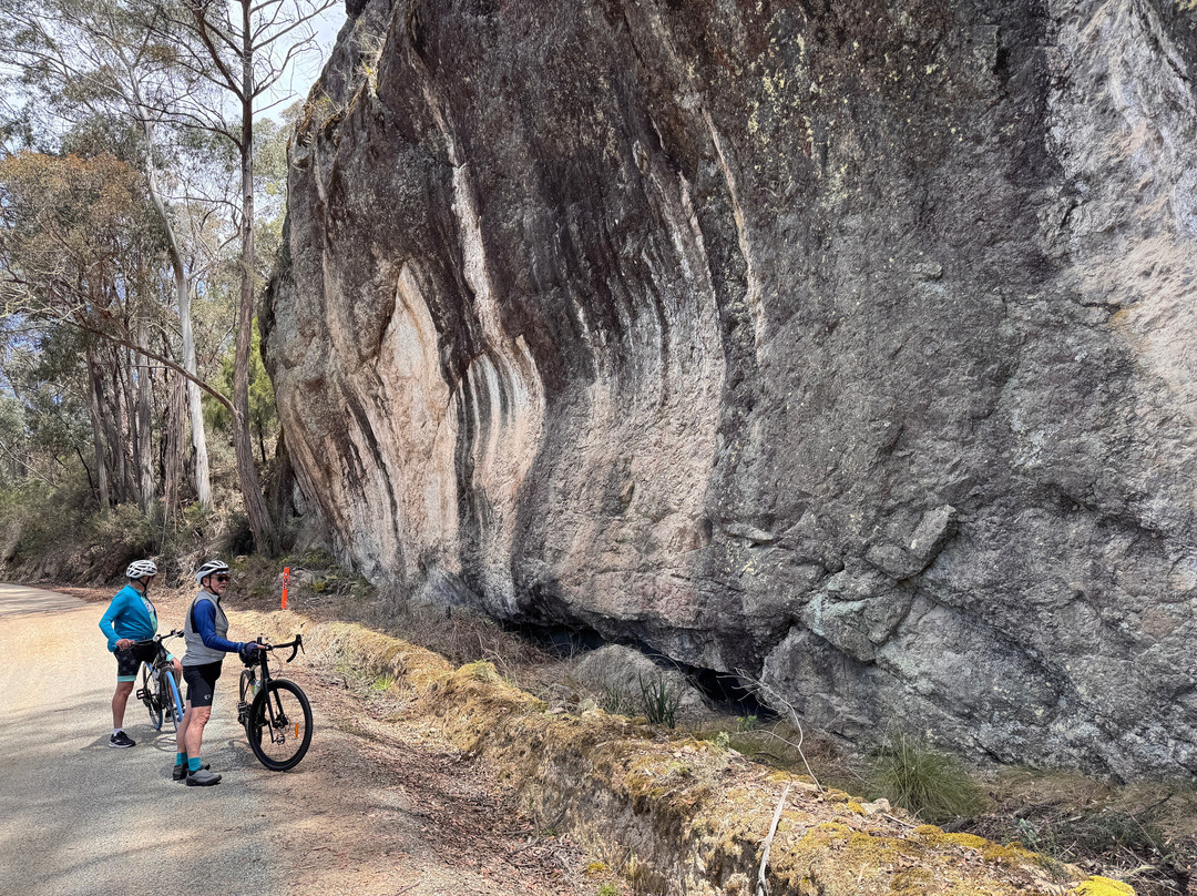 Snowy River Cycling Rail Trail Tours-Orbost必去景点