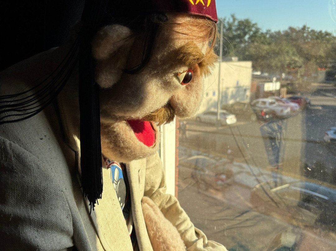 外伯城-坦帕必去景点