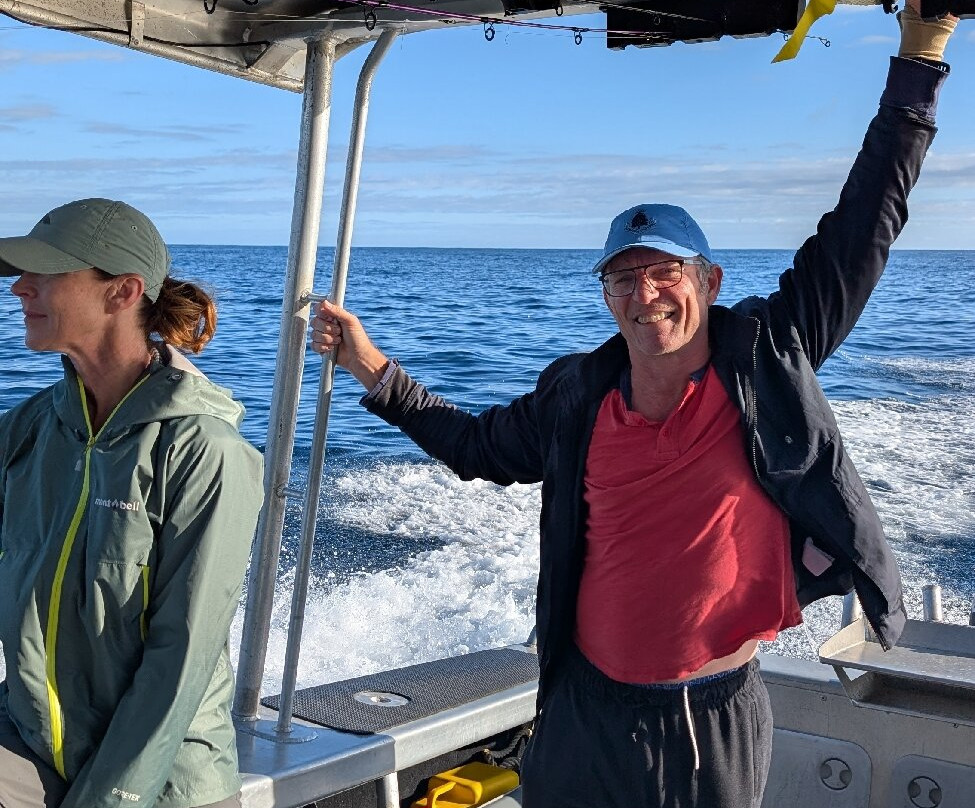 Bay of Islands Water Taxi-Bay of Islands必去景点