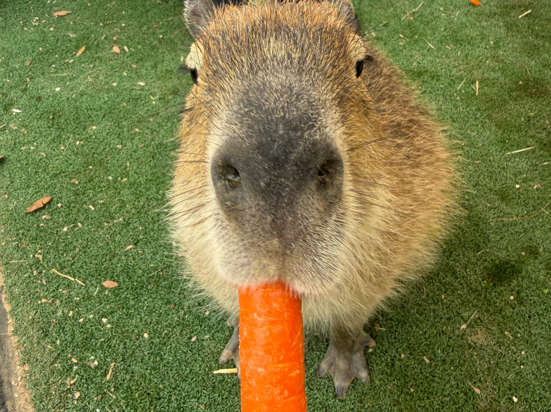 Blue Hills Ranch-McGregor必去景点