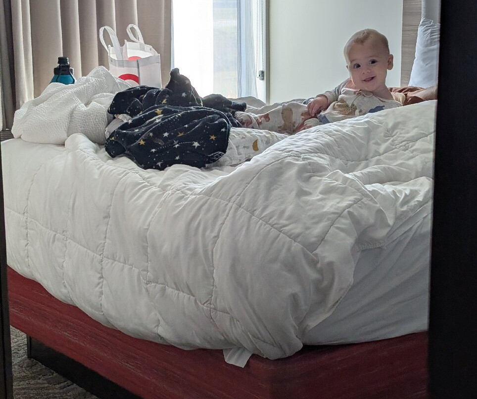 SpringHill Suites by Marriott Tifton主图