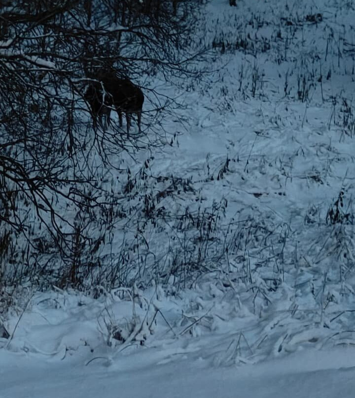 Nordland Adventures-博多必去景点