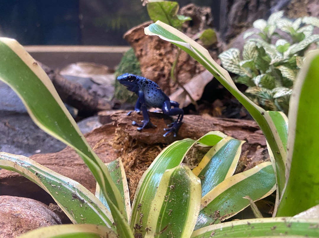 Lakes Aquarium-Newby Bridge必去景点