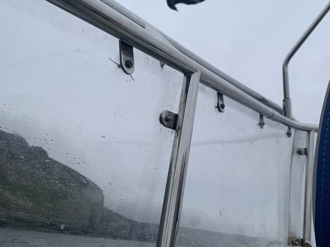 Shetland Seabird Tours - The Noss Boat-Lerwick必去景点
