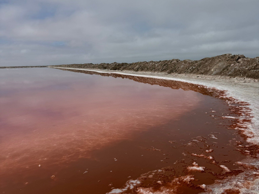 Desert Dunes & Dust Tours-斯瓦科普蒙德必去景点
