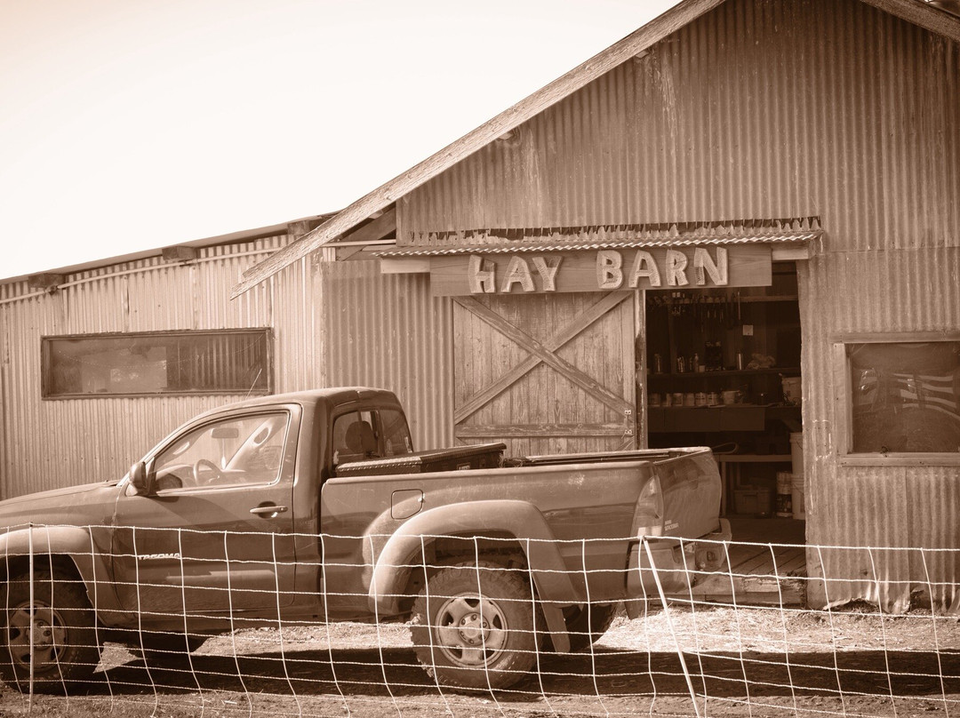 Harley Farms Goat Dairy-佩斯卡德罗必去景点