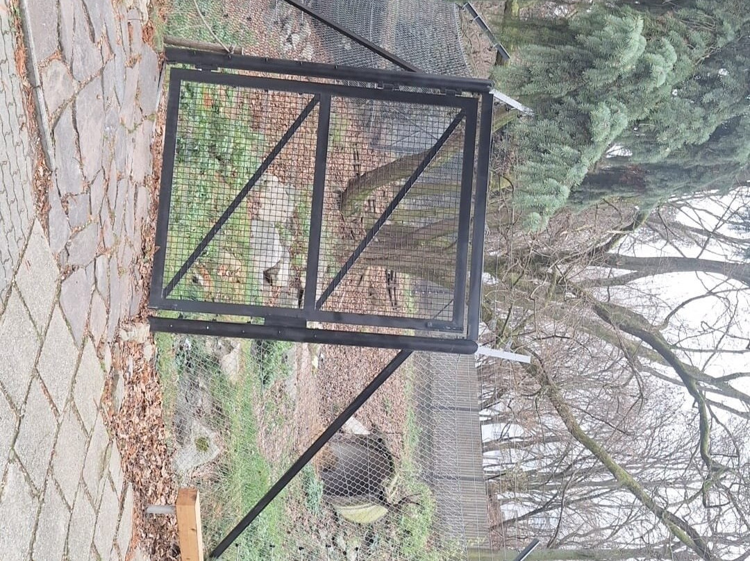 ZOO Bratislava-布拉迪斯拉发必去景点