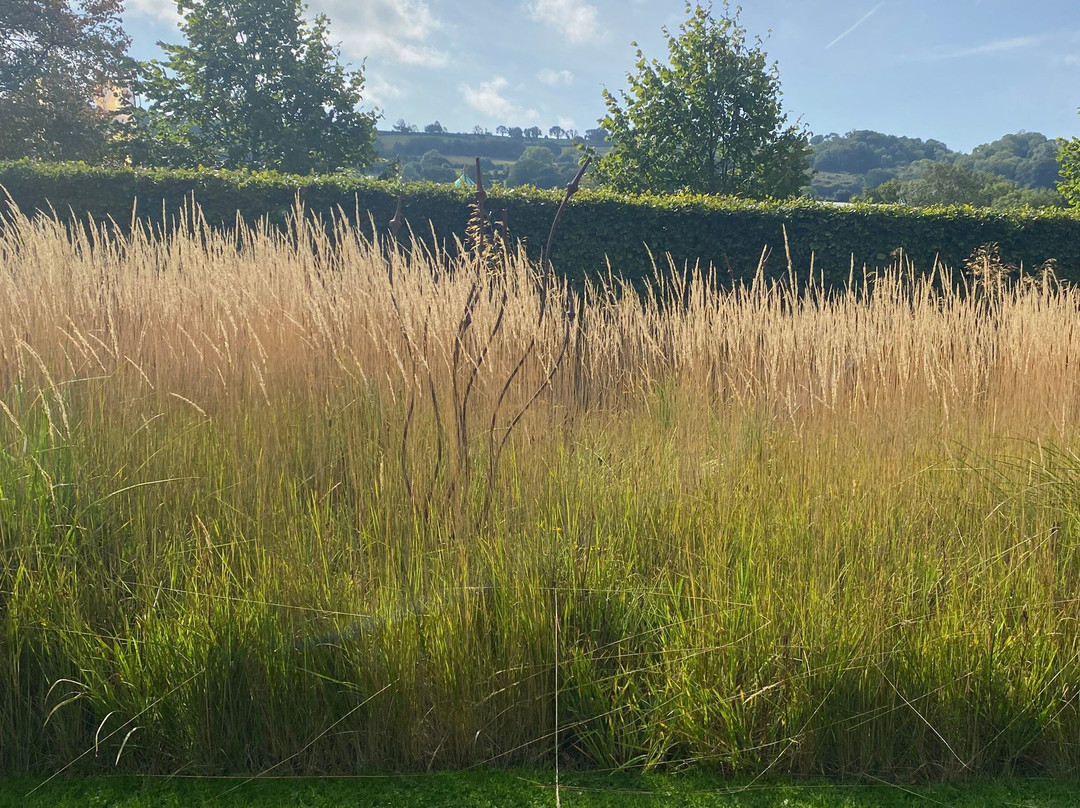 Yeo Valley Organic Garden-Blagdon必去景点