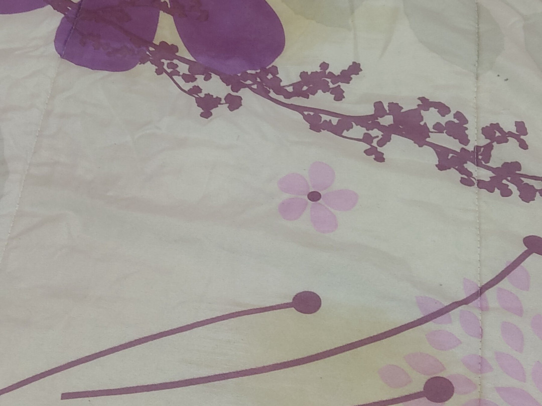 Hotel Numero Uno主图