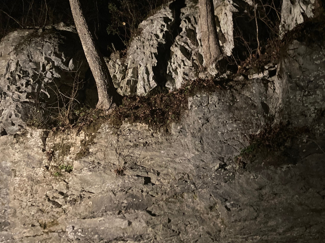 The Caverns-Pelham必去景点