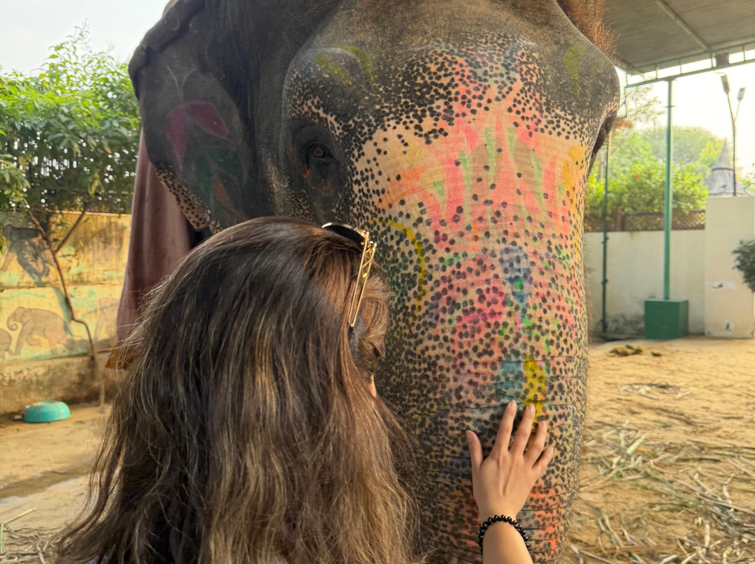 EleJungle-Amer必去景点