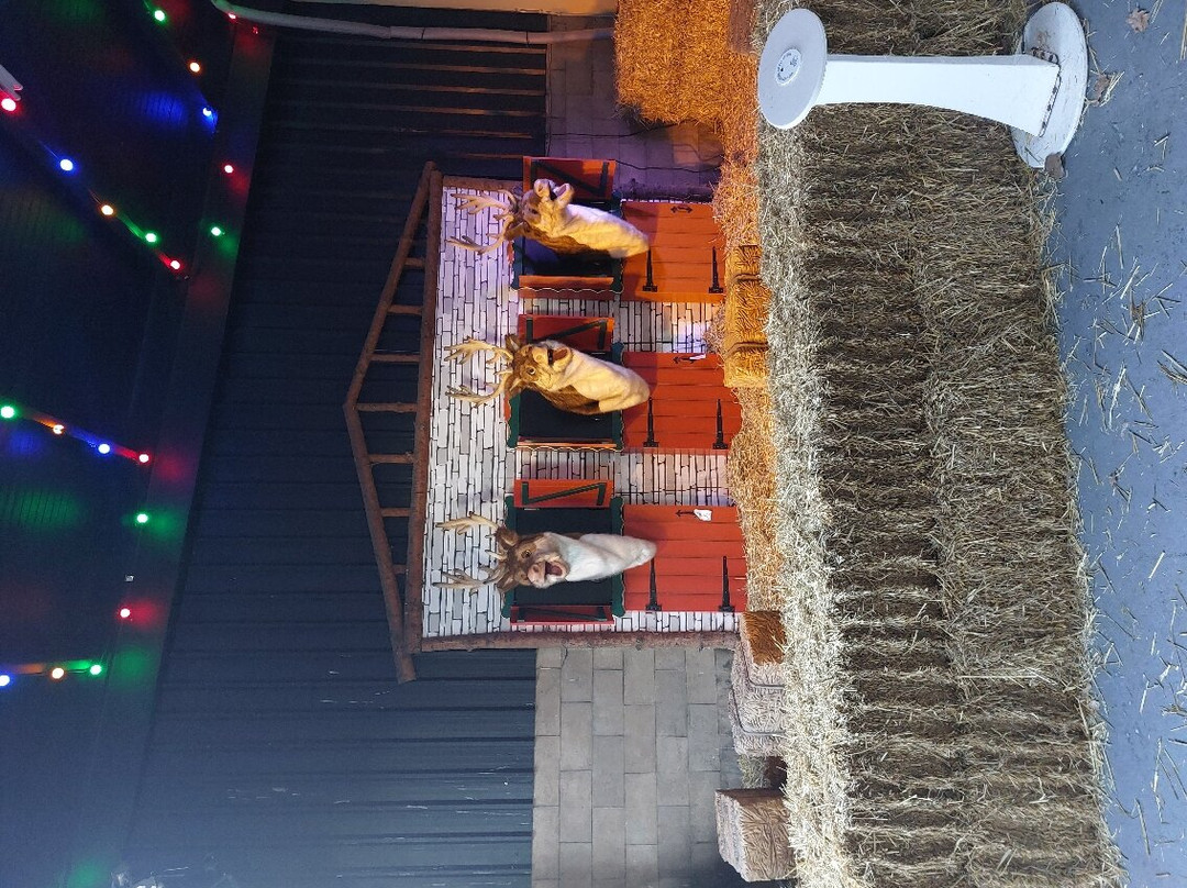 Statfold Country Park-塔姆沃思必去景点