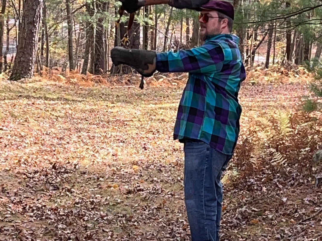 Masters Of The Skies-霍利必去景点