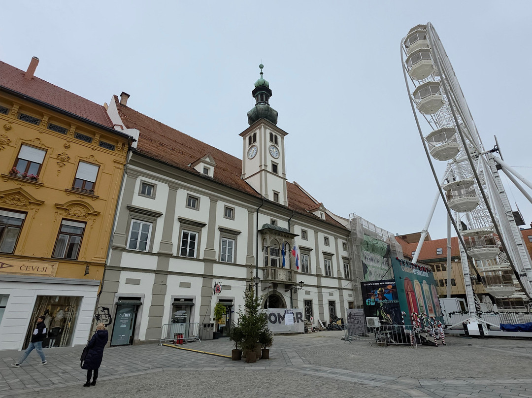 Main Square of Maribor-马里博尔必去景点