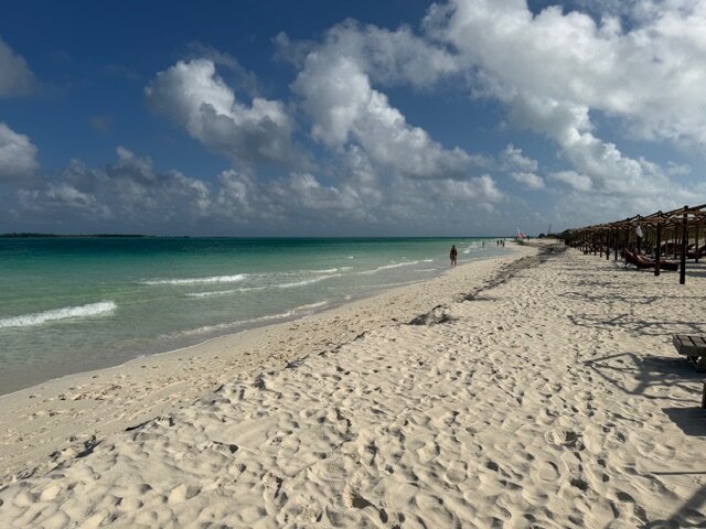 Playa Luxury Cayo Guillermo Hotel-泳池