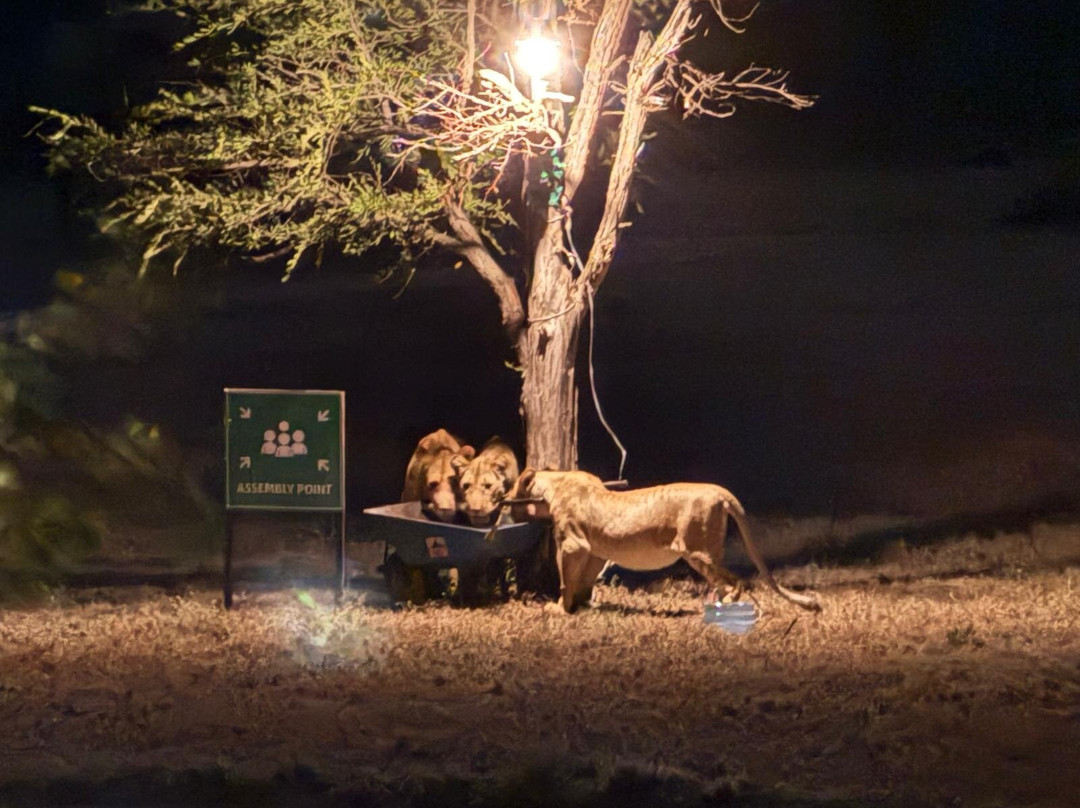 OSOTUA TENTED CAMPS-Ikoma必去景点