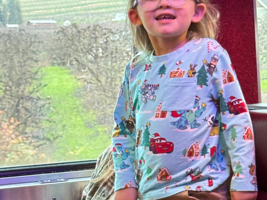 Mount Hood Railroad-胡德里弗必去景点