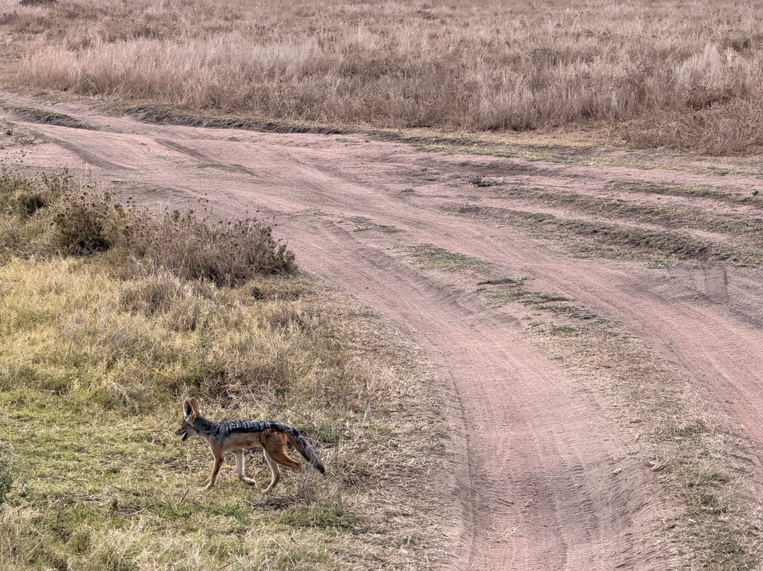 易捷旅游-一日游-阿鲁沙必去景点