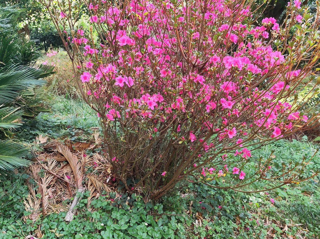 Fonte Baxa-卢阿尔卡必去景点