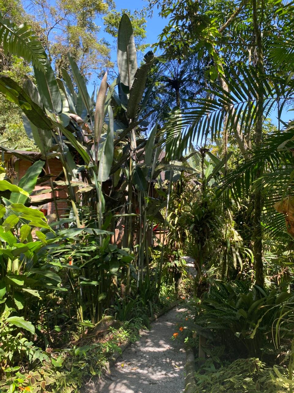 Casa Divina Eco Lodge-浴室