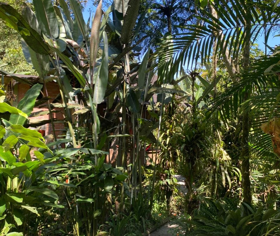 Casa Divina Eco Lodge主图