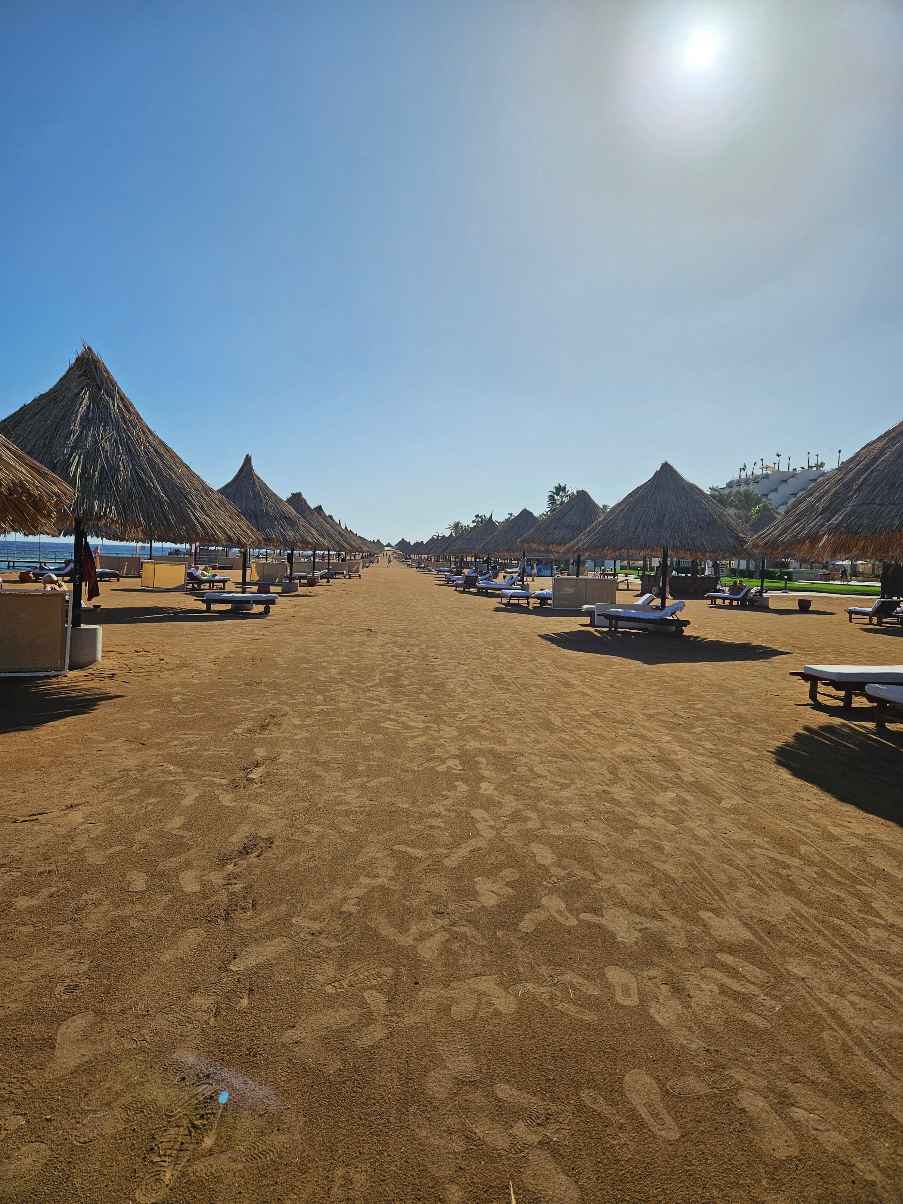 Sheraton Sharm Hotel, Resort, Villas & Spa-泳池