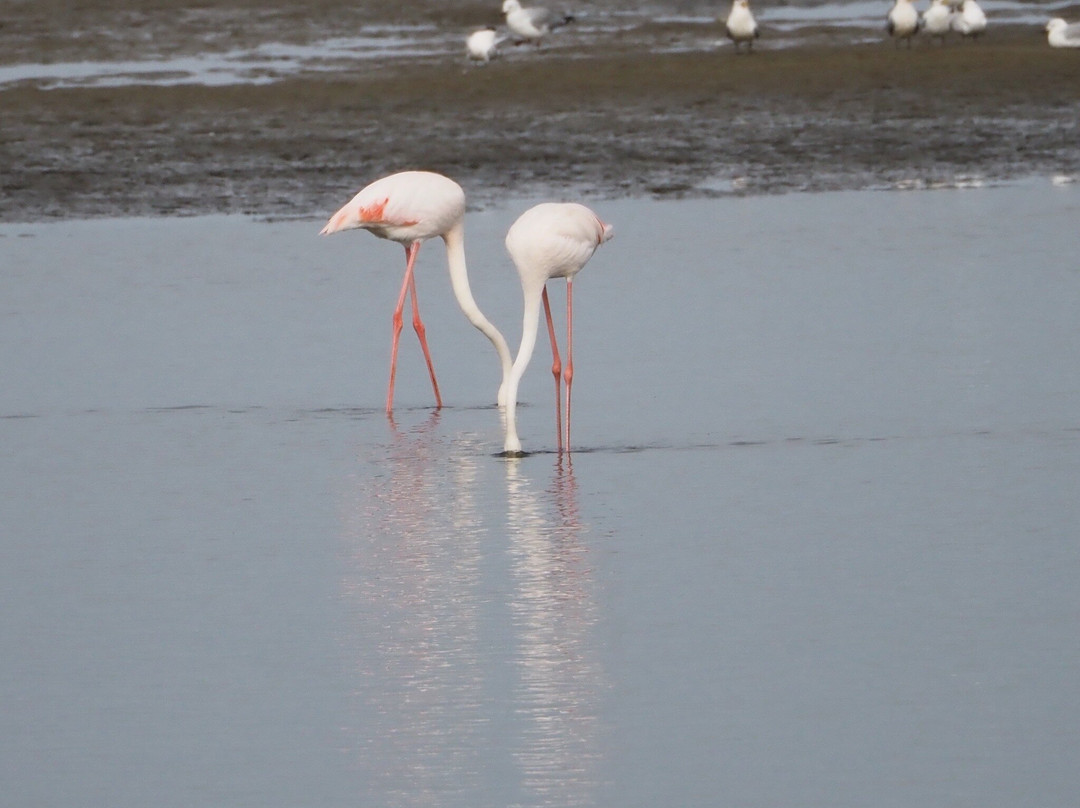 Ondjou Tours cc-华维斯湾必去景点
