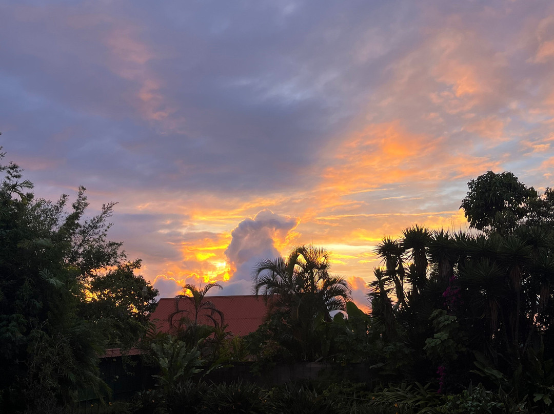 Academia Tica-圣何塞必去景点