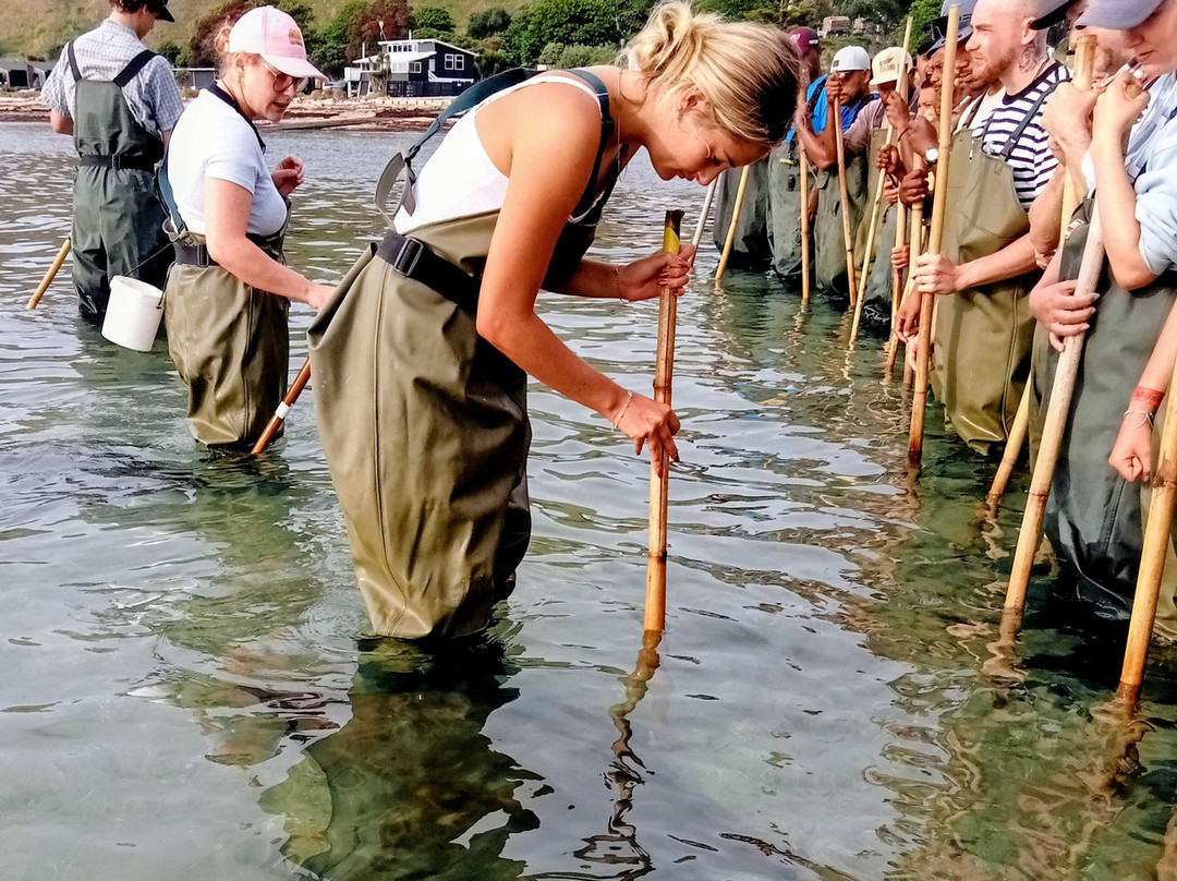 Dive Tatapouri-Gisborne Region必去景点