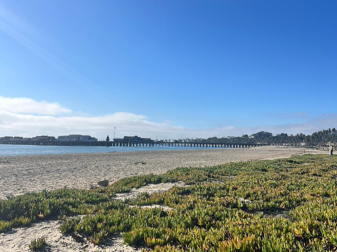 Santa Barbara Arts and Crafts Show-圣巴巴拉必去景点