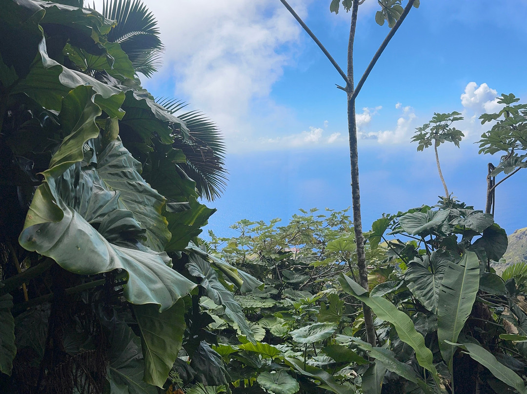 Mount Scenery-Windwardside必去景点
