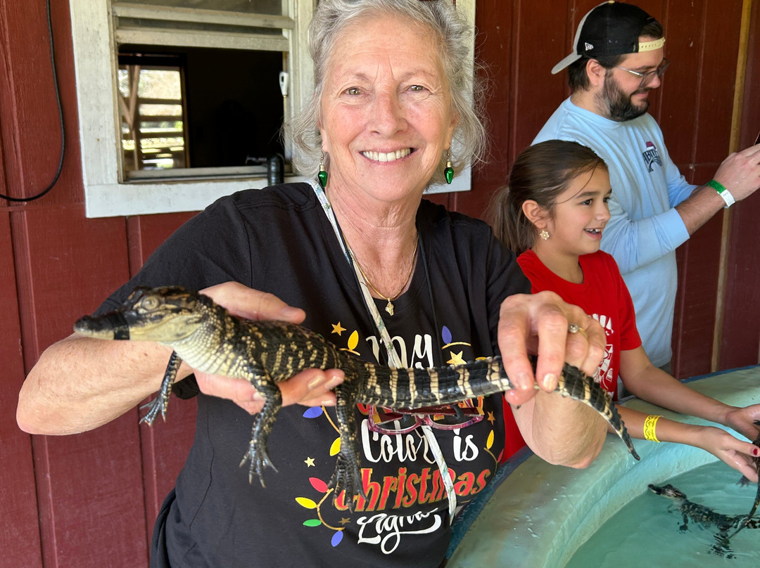 Insta-Gator Ranch & Hatchery-卡温顿必去景点