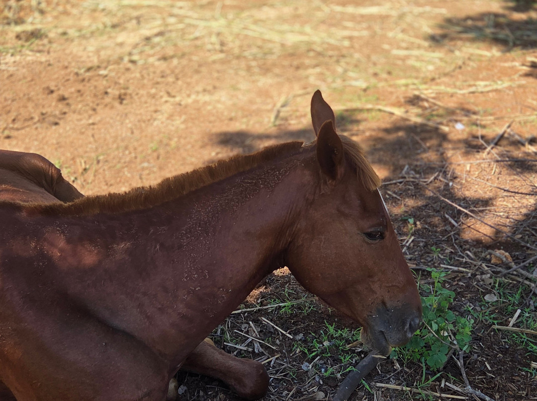 Nexus Tours-蒙特戈贝必去景点