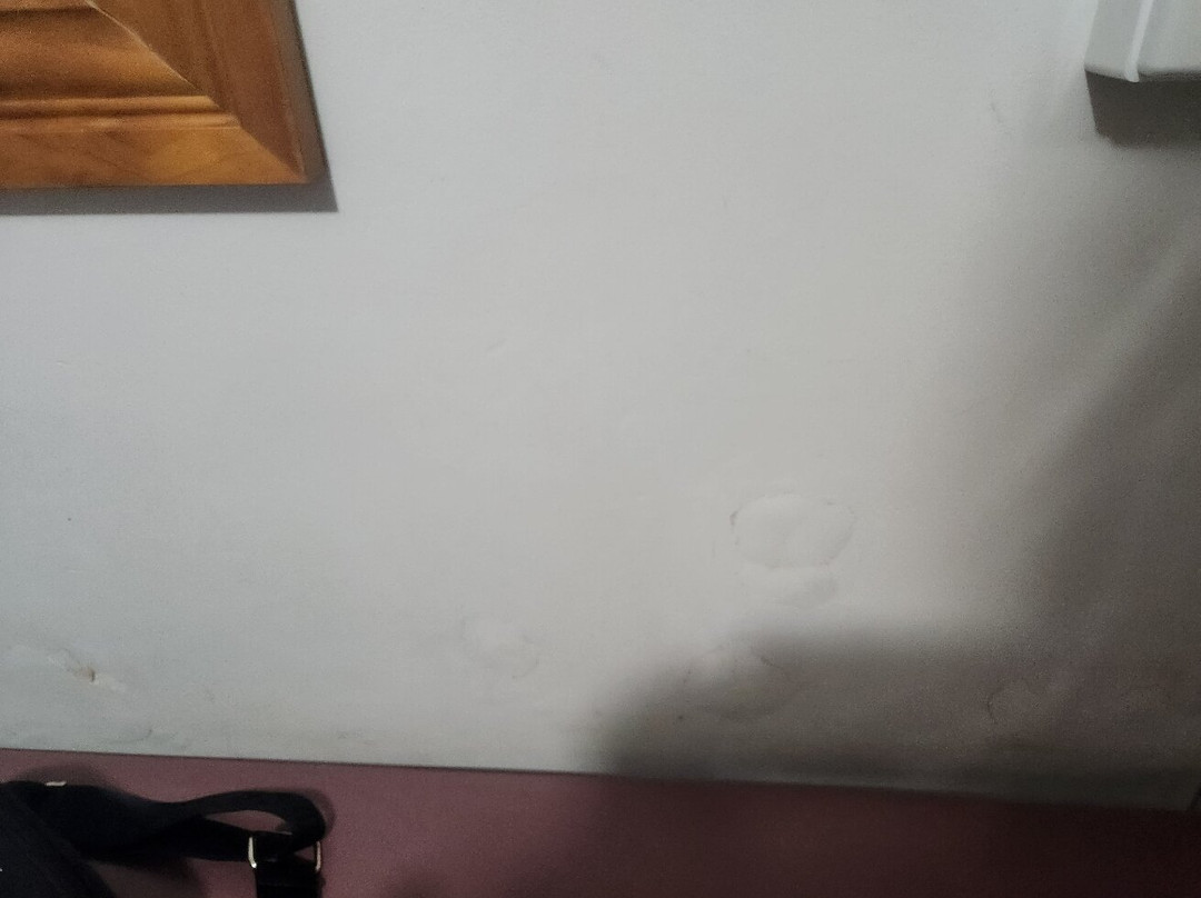 Billabong Hotel Motel主图