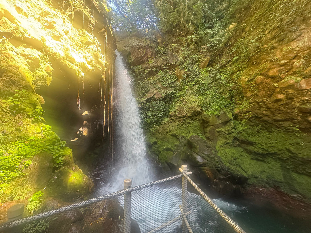 Green Go Costa Rica-利比里亚必去景点
