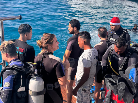 Pro Master Diving Club-赫尔格达必去景点