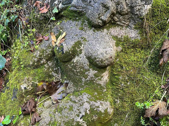 Neraidospilios Cave-Myrtia必去景点