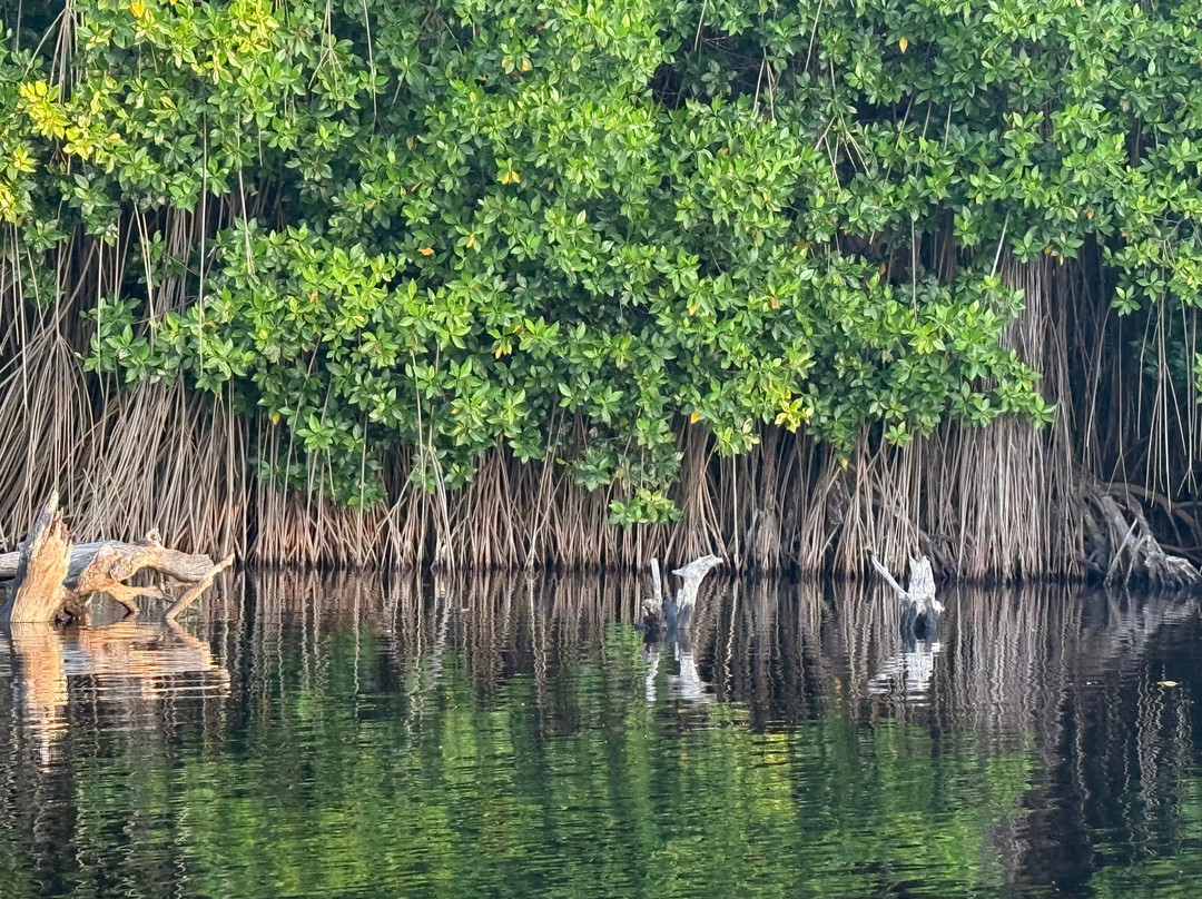 Lalo Ecotours-埃斯孔迪多港必去景点