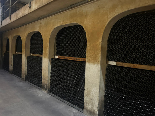 Kanonkop Wine Estate-斯泰伦博斯必去景点