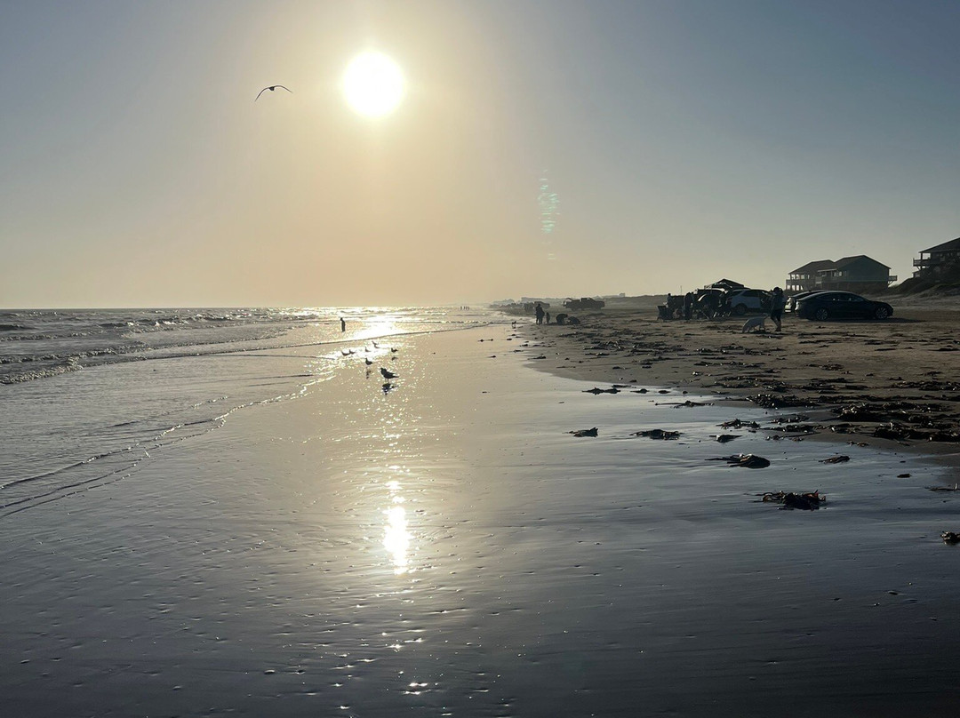 Galveston - Port Bolivar Ferry-盖维斯顿必去景点